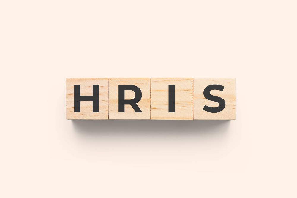 3 Pain Points You Might Have with Your HRIS | VertiSource HR
